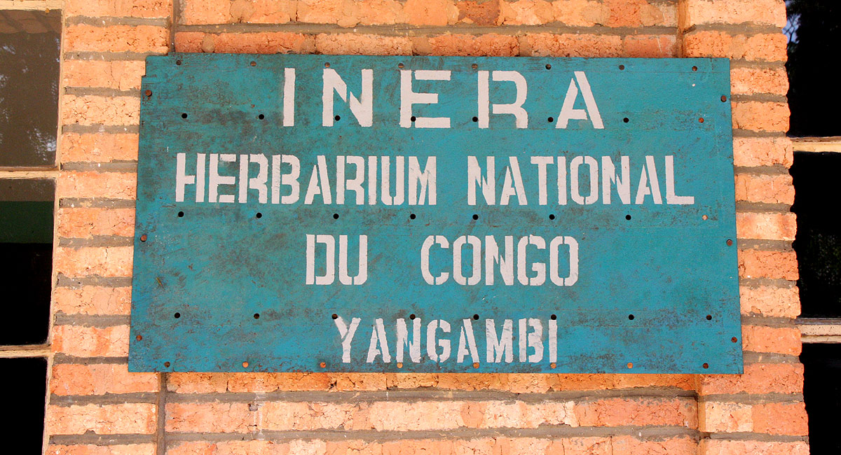 Yangambi Herbarium YBI