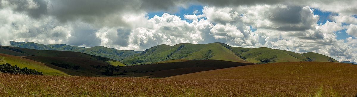 View to Nganda Hill with typical montane Nyika landscape of rolling grasslands with small patches of evergreen forest.