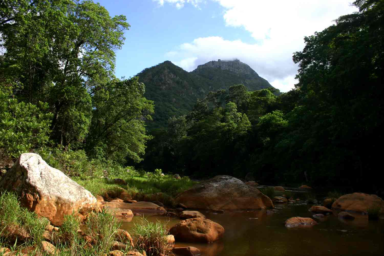 View from the banks of the Haroni River towards the southern Chimanimani Mts