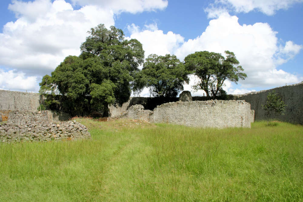 View of Mimusops zeyheri trees within the Great Enclosure, Great Zimbabwe