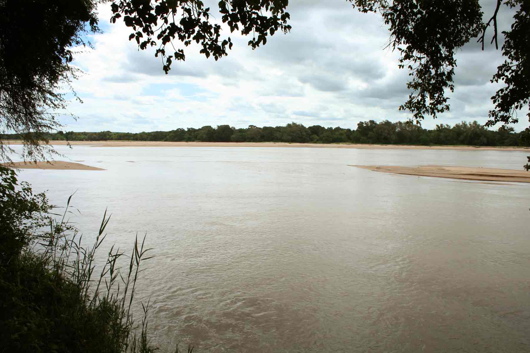 Shashe River in flood; a rare sight in this normally dry environment.