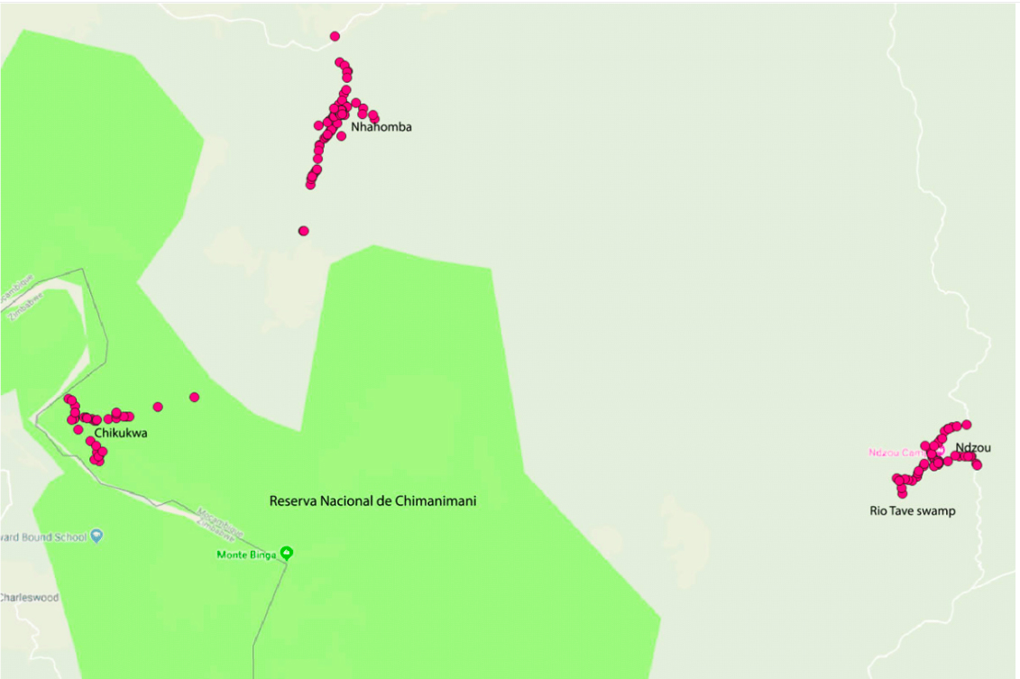 Map of collecting sites in the buffer zone and within Chimanimani National Reserve.