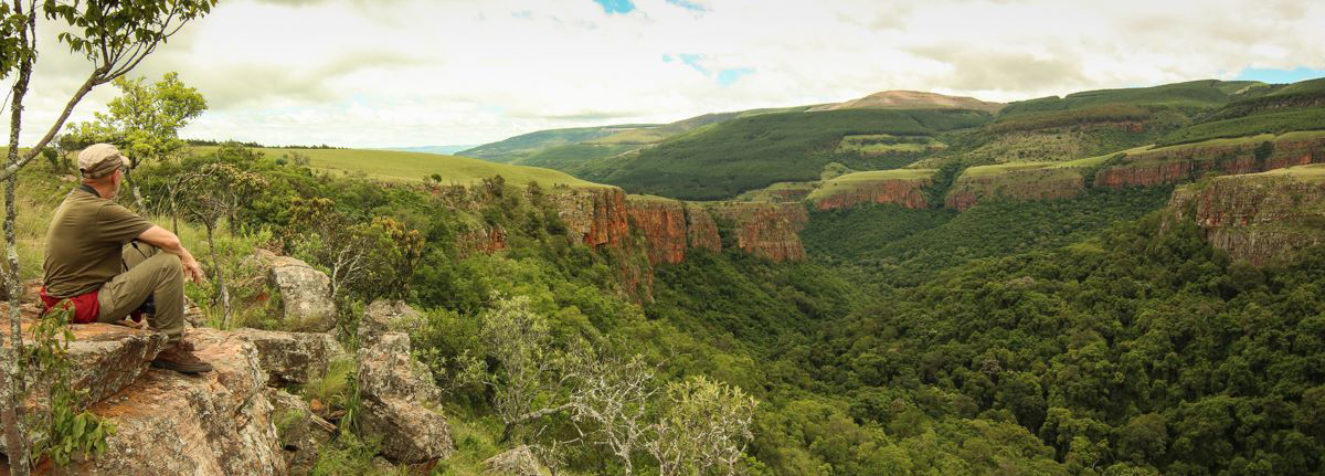 Taking in a view at Buffelskloof Nature Reserve, Mpumalanga, South Africa.
