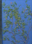 Indigastrum costatum subsp. macrum