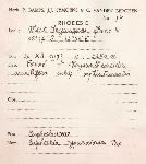 Euphorbia crebrifolia