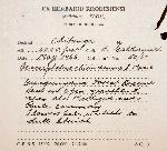 Haumaniastrum dissitifolium