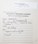 Ecbolium clarkei var. puberulum