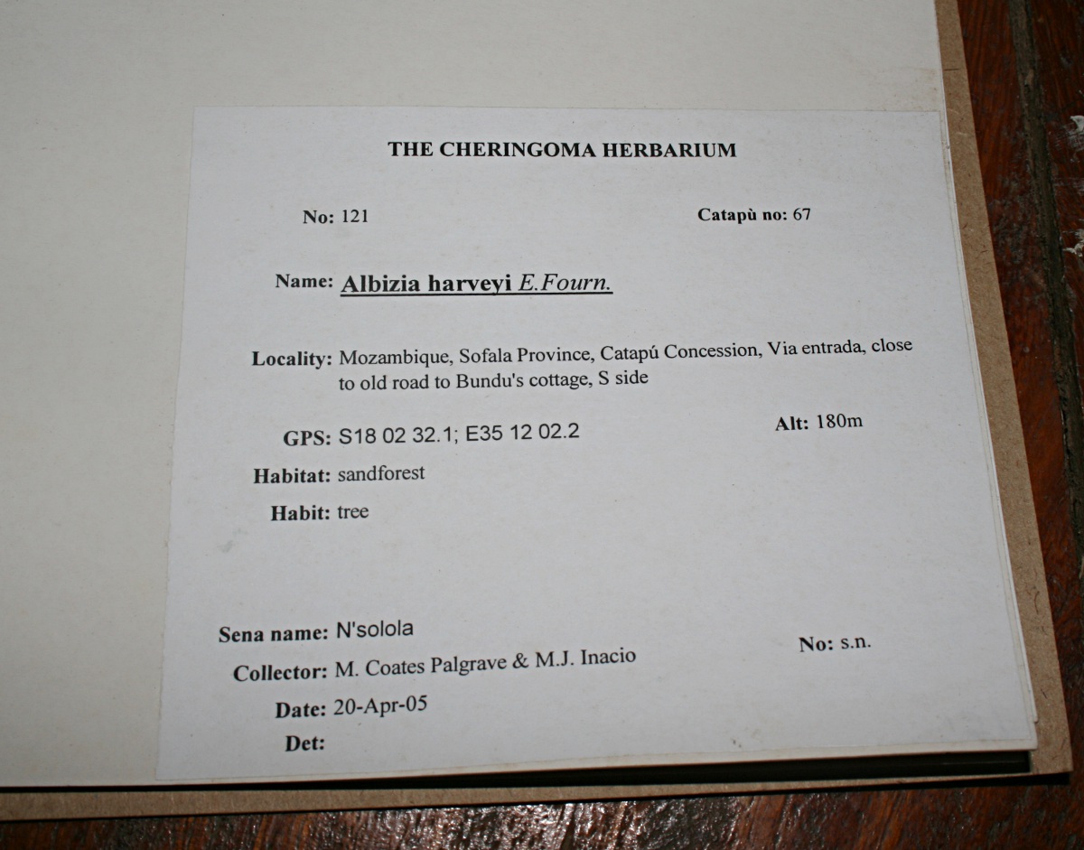 A sample herbarium sheet label
