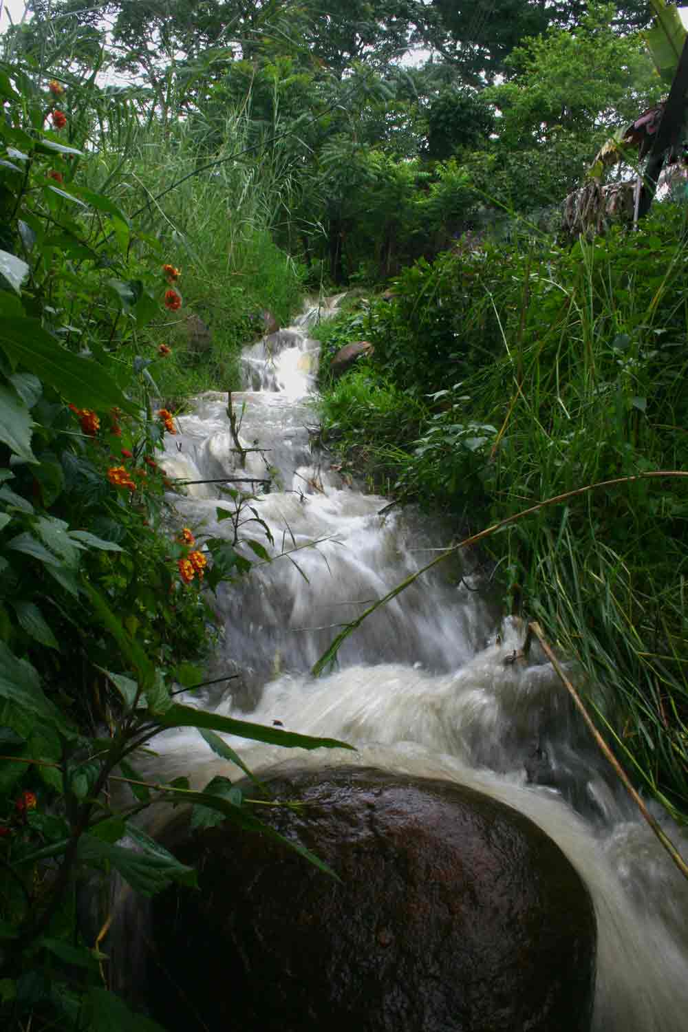 View of a temporary dramatic overflow stream arising in the very wet conditions at the time.