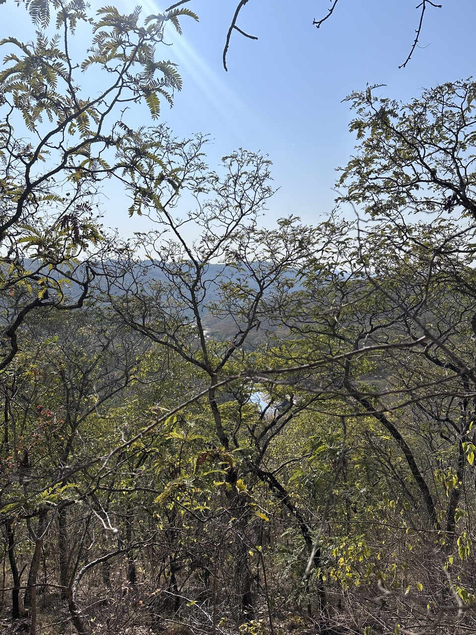 Near the Makurumure Falls