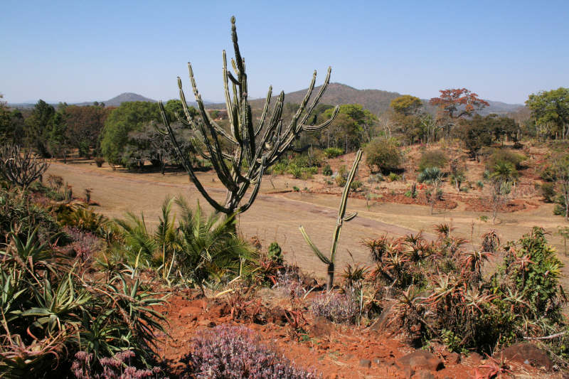 View over the gardens at Ewanrigg.