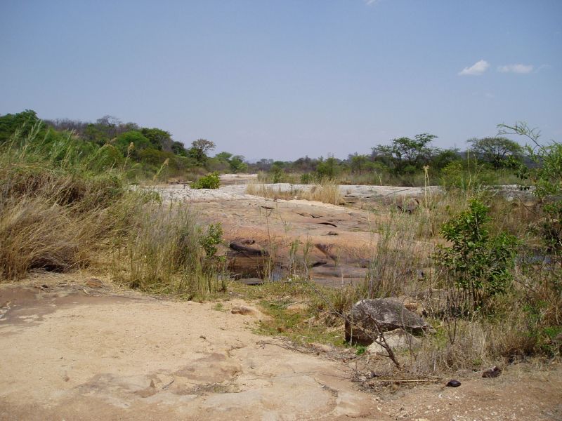 View down stream (i.e. westwards) showing the habitat of rocks, sand and reeds.