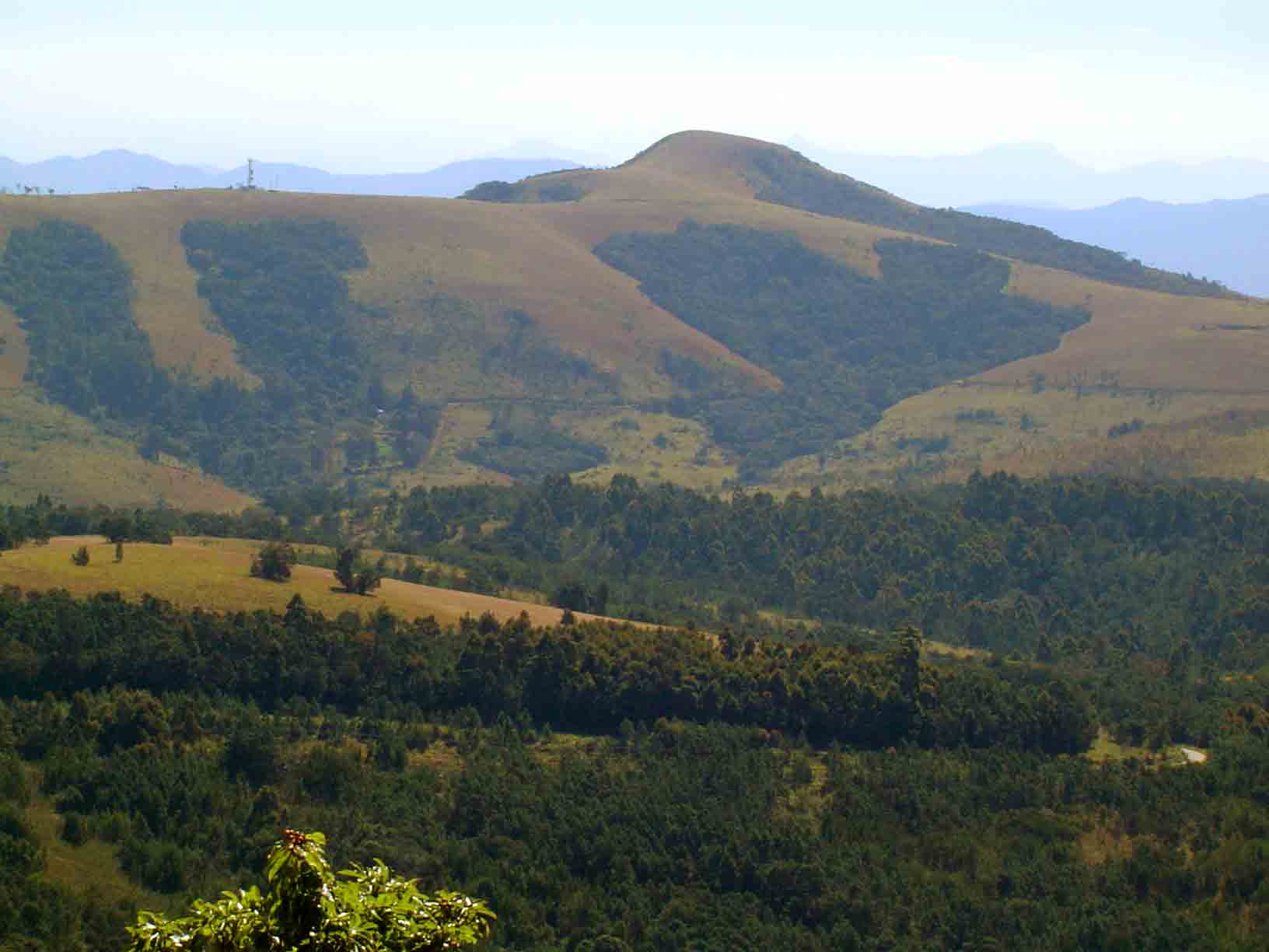 Chinziwa seen from Castle Beacon, showing the patchwork of grassland and forest.