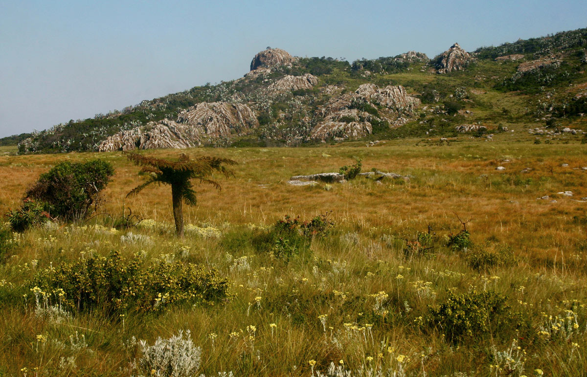 One of the upper plateaus with montane grassland and bogs.