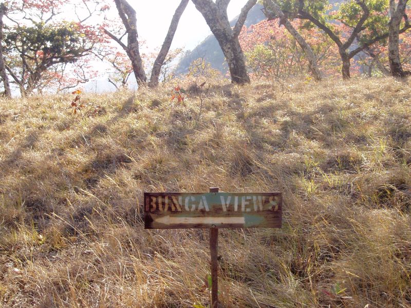 "Bunga Views" sign
