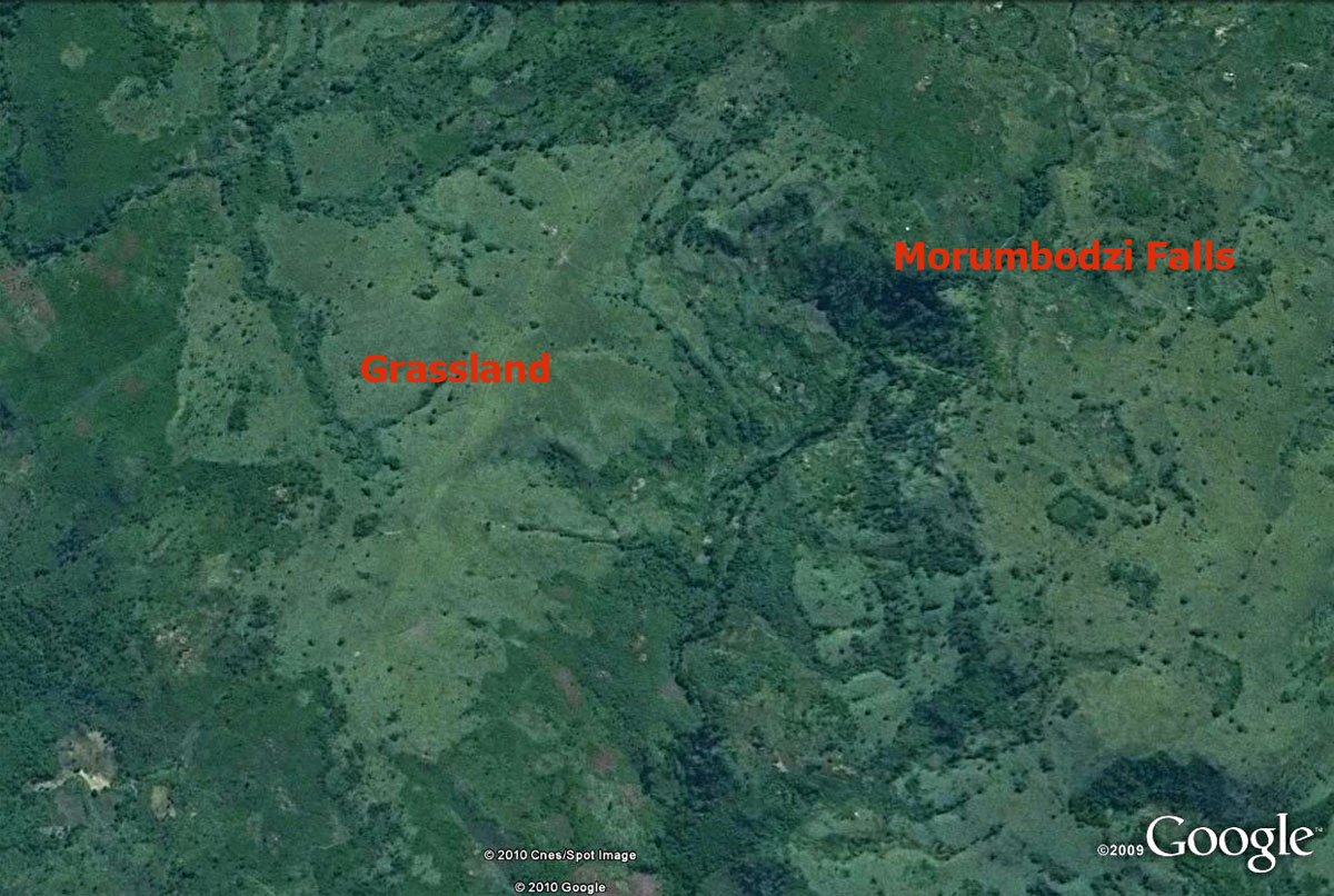 Google map of the Morumbodzi Falls area
