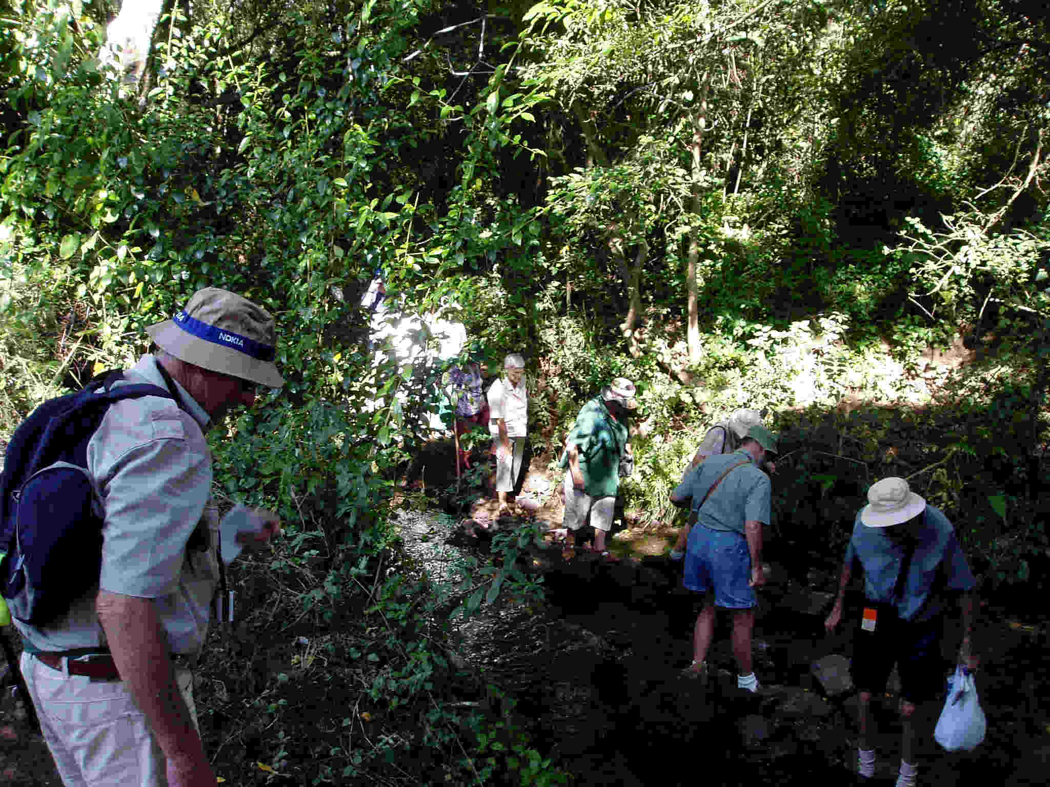 The Tree Society crosses the still-flowing Umwindsi river