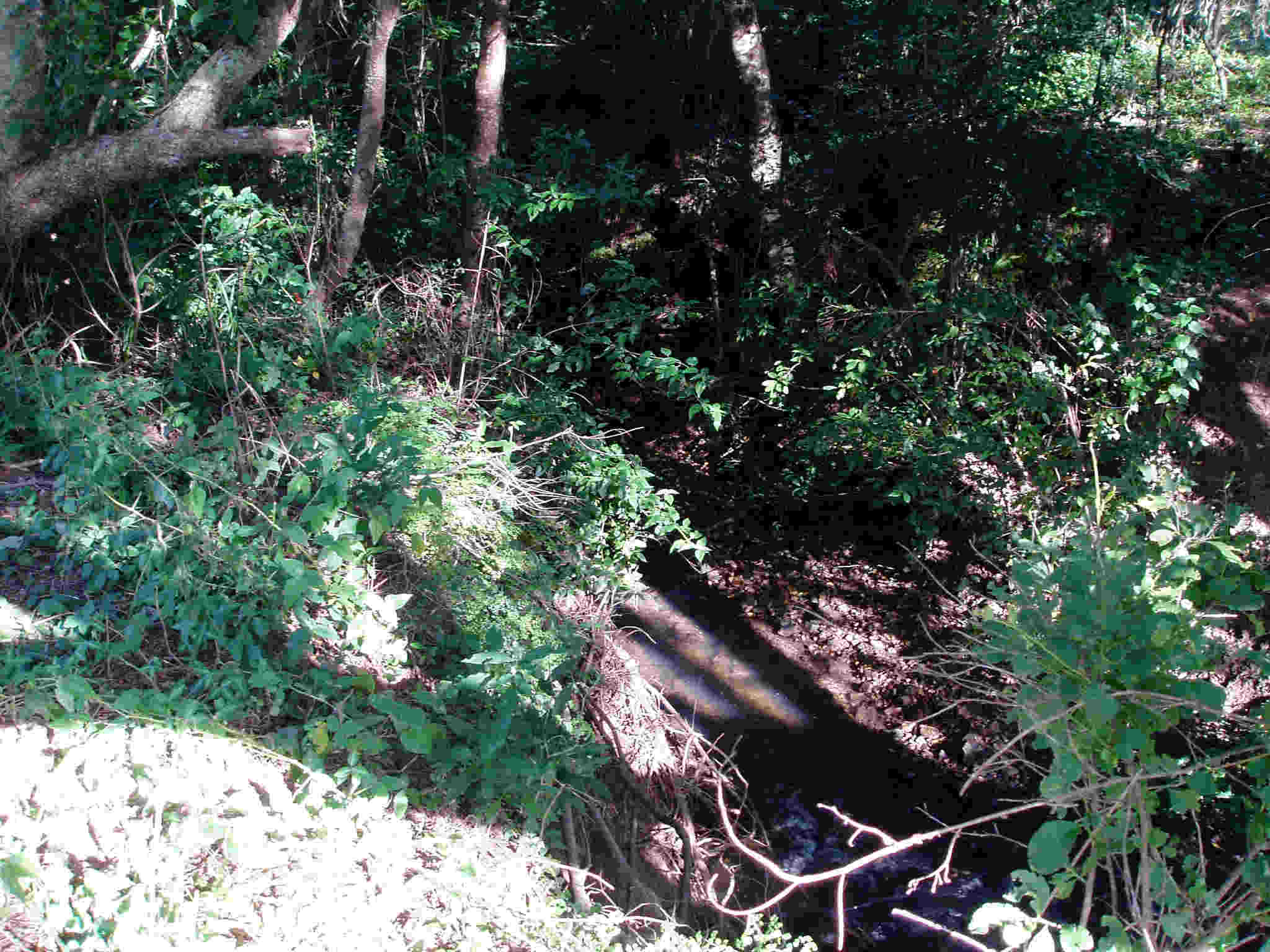 The flowing Umwindsi river