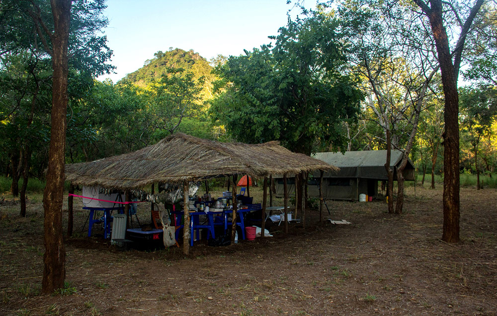 Our field lab in camp at the base of Mt Bunga