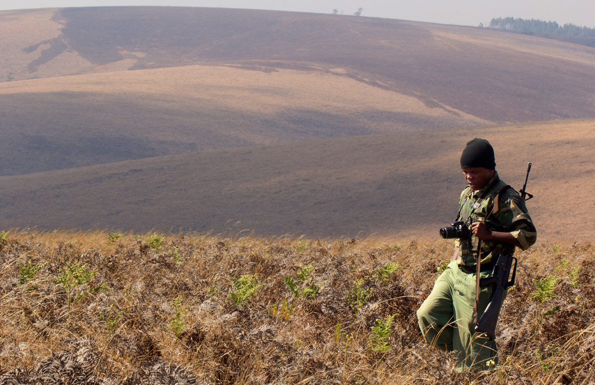 Michael Siska searching for flowers in the dry winter grasslands on the Nyika Plateau.