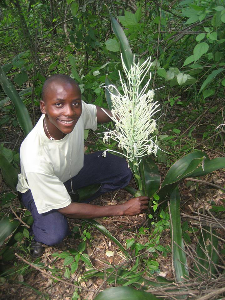 Obety Baptista with Sansevieria pedicellata on Mount Muruwere, west of Chimoio, Mozambique.